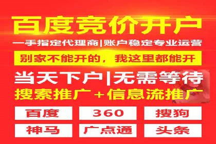 探索SEO在移动端的优化策略——成功案例分享